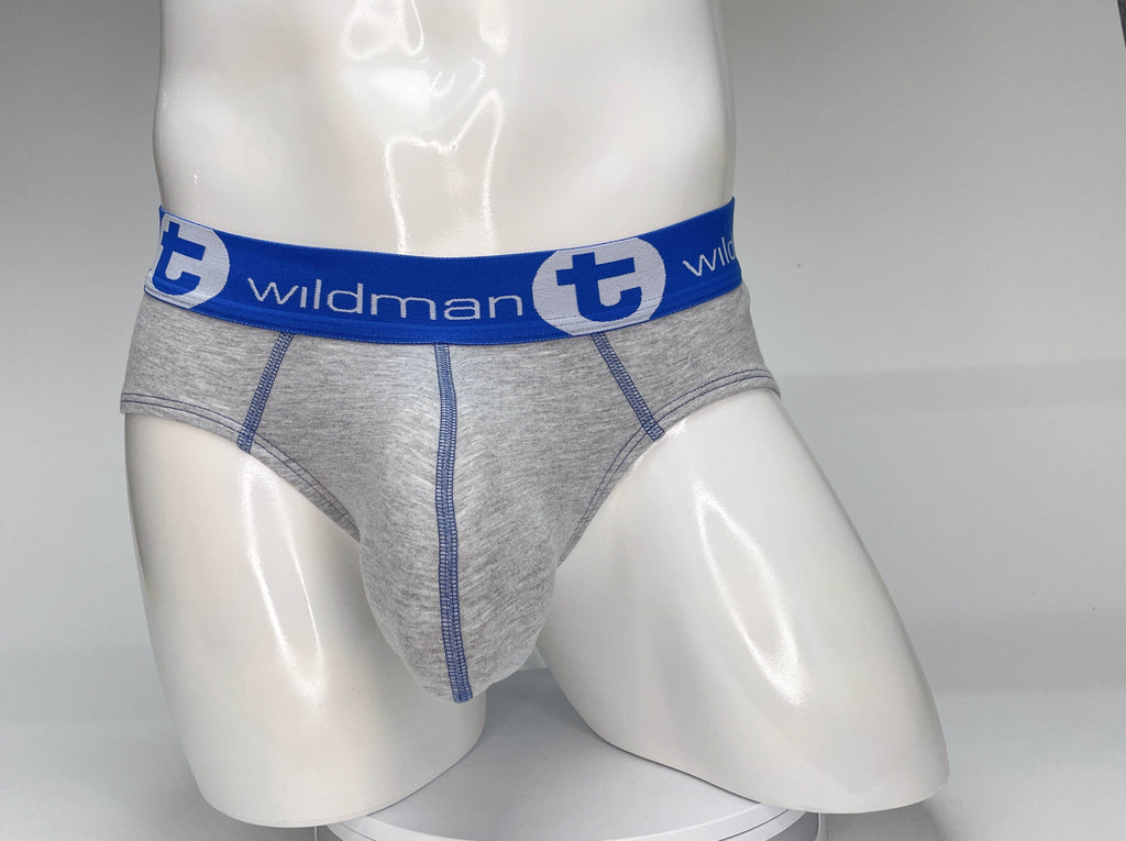 WILDMANT BIG BOY POUCH COTTON BRIEF GRAY AND BLUE