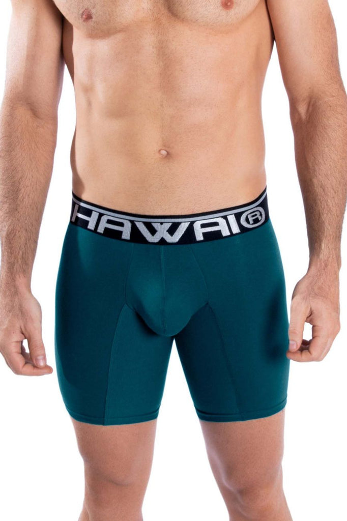 Formuleren architect kruis HAWAI 41903 Solid Athletic Boxer Briefs Color Petrol – MalestromOnline.com