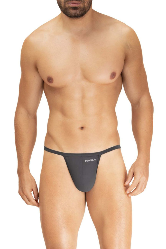 HAWAI 42295 Microfiber G-String Color Gray –